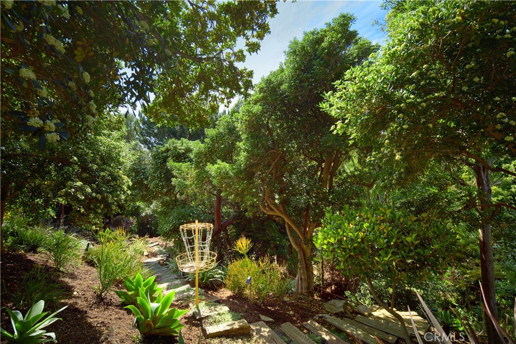 MLS #NP25106386 image #41