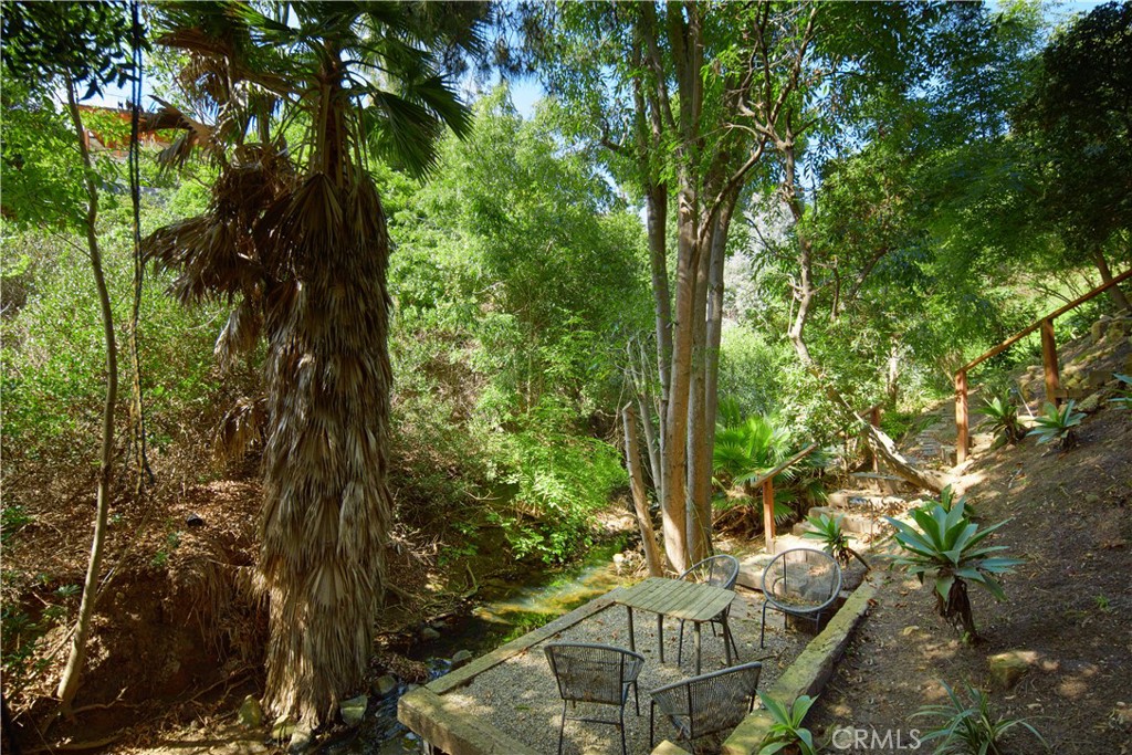 MLS #NP25106386 image #42