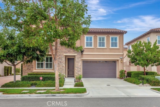 MLS #NP25229150 image #29