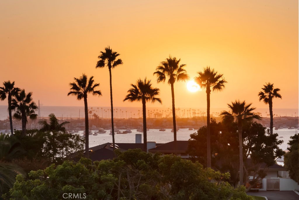 MLS #NP25229664 image #1