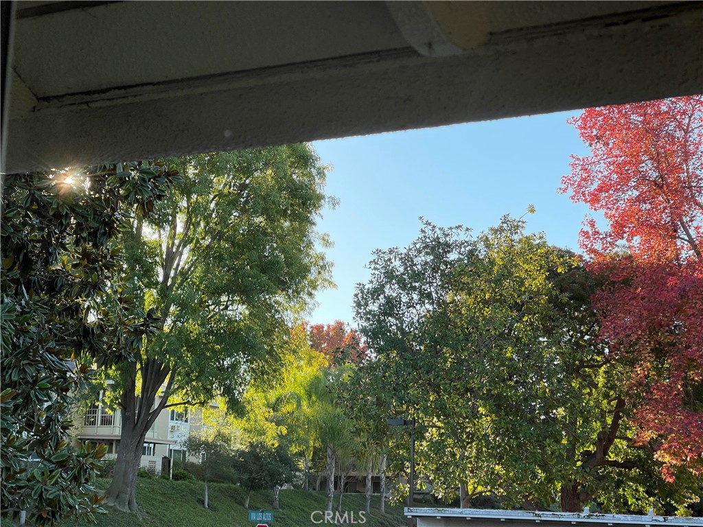 MLS #NP25231503 image #3