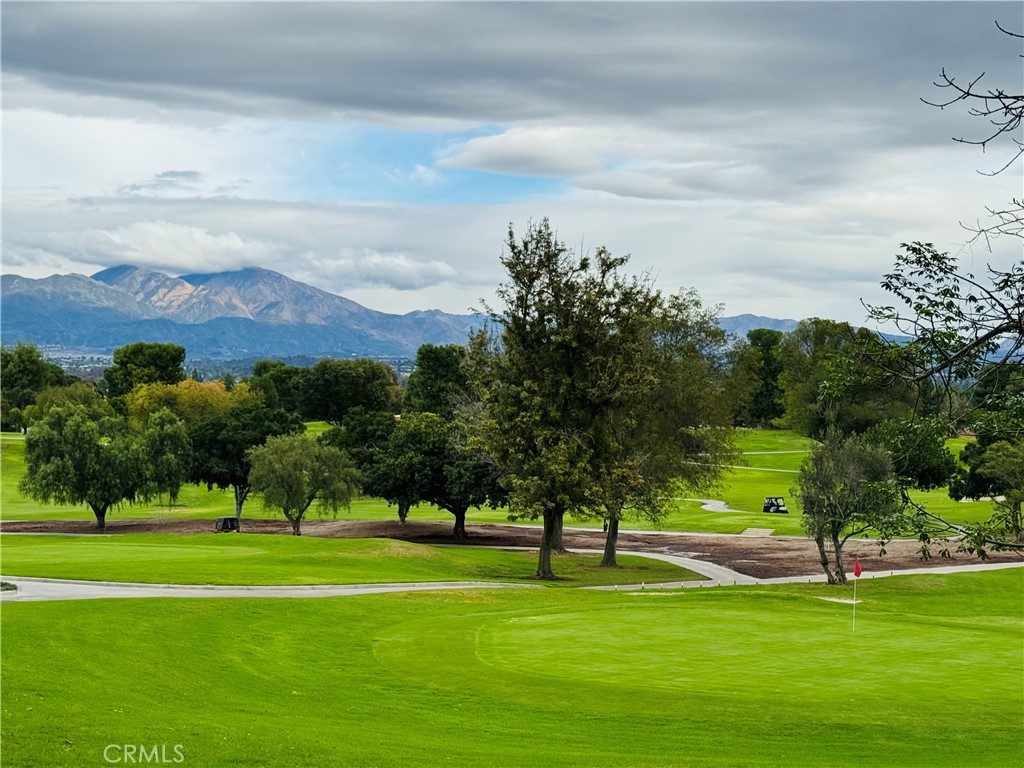 MLS #NP25231503 image #35