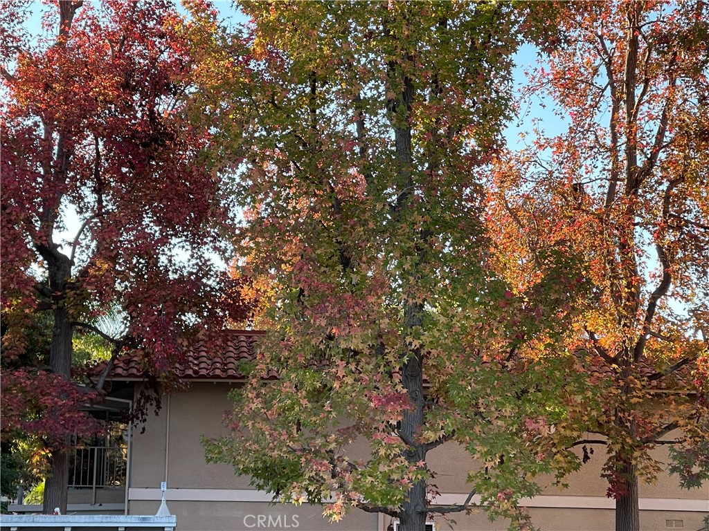 MLS #NP25231503 image #44