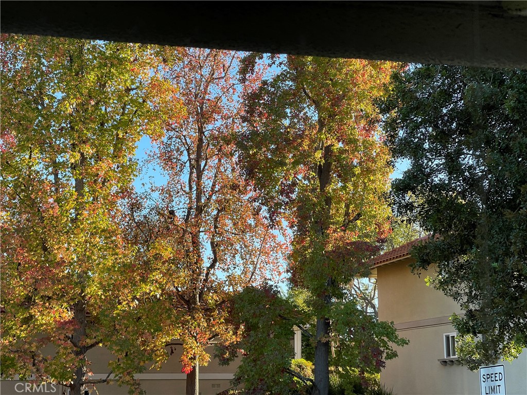 MLS #NP25231503 image #45