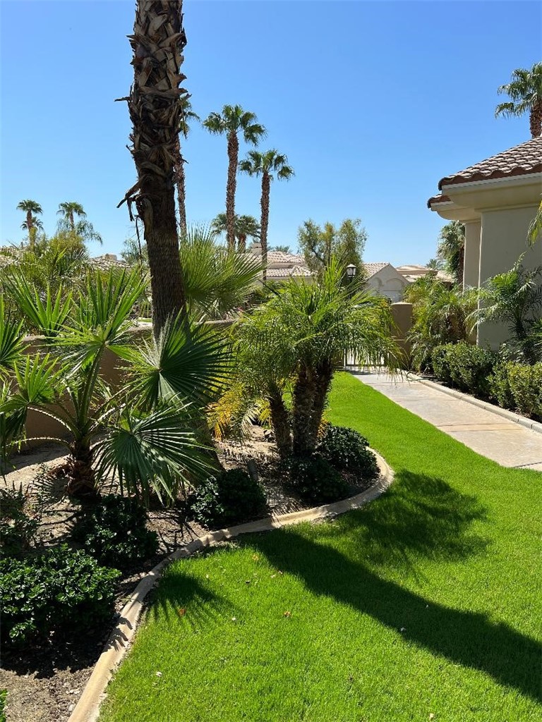 MLS #NP25232445 image #32