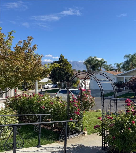 MLS #NP25233209 image #2