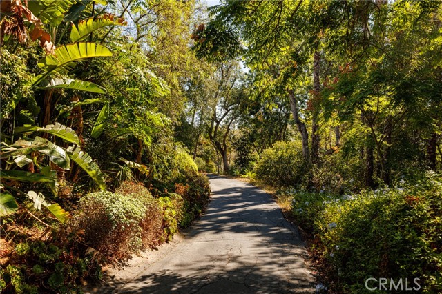 MLS #NP25235914 image #36