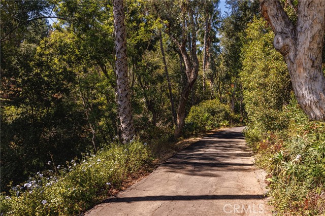 MLS #NP25235914 image #38