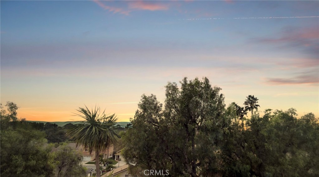 MLS #NP25239644 image #20