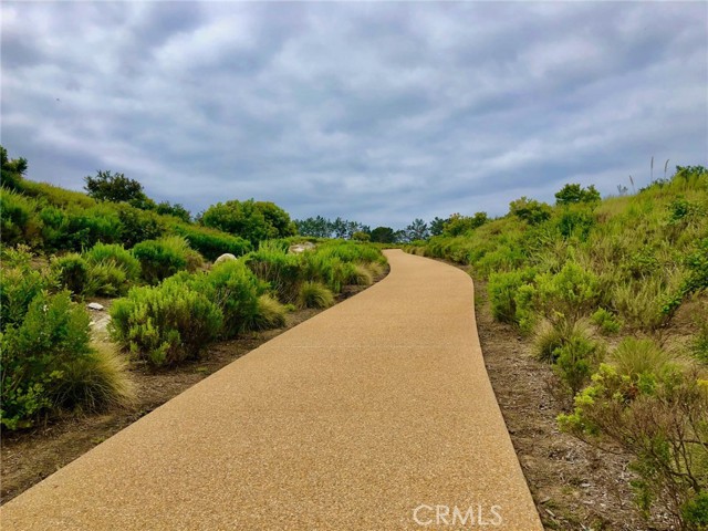 MLS #NP25239658 image #28