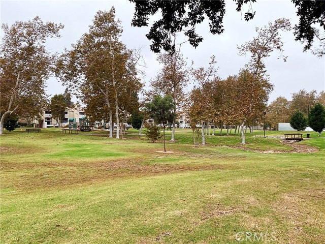 MLS #NP25239778 image #59