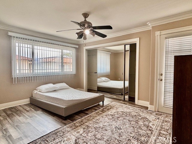 MLS #NP25240627 image #26