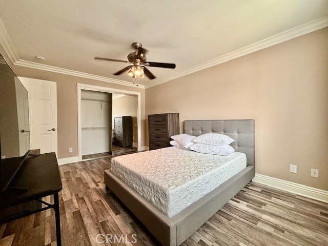 MLS #NP25240627 image #28