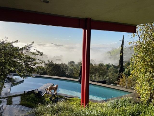 MLS #NP25244134 image #3