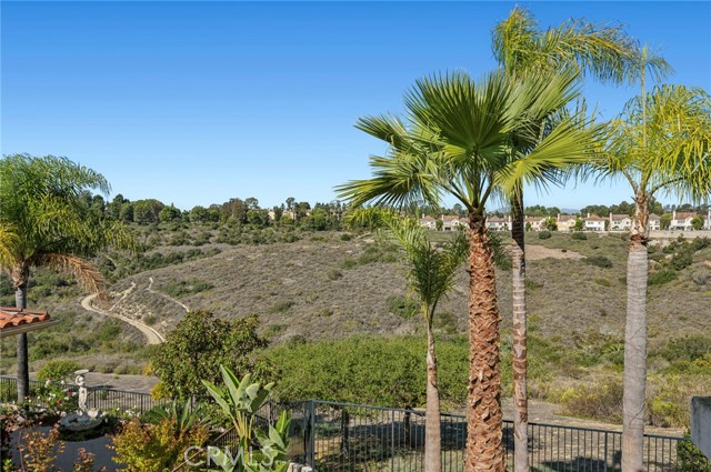 MLS #NP25244237 image #27