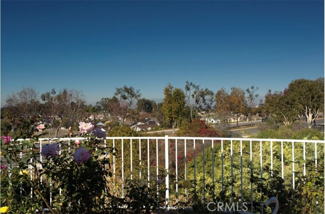 MLS #NP25244997 image #17