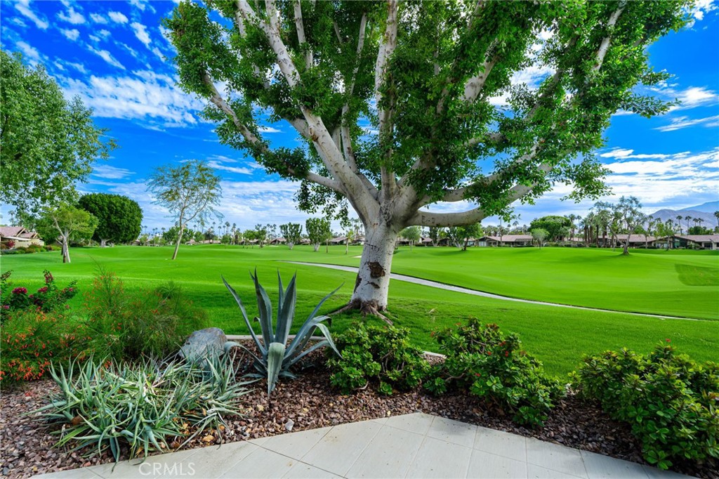 MLS #NP25245824 image #17