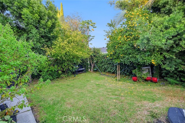 MLS #NP25246356 image #19