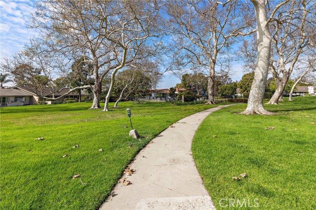 MLS #NP25247823 image #5