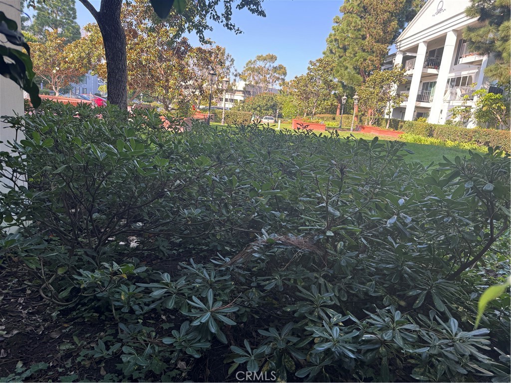 MLS #NP25248382 image #2