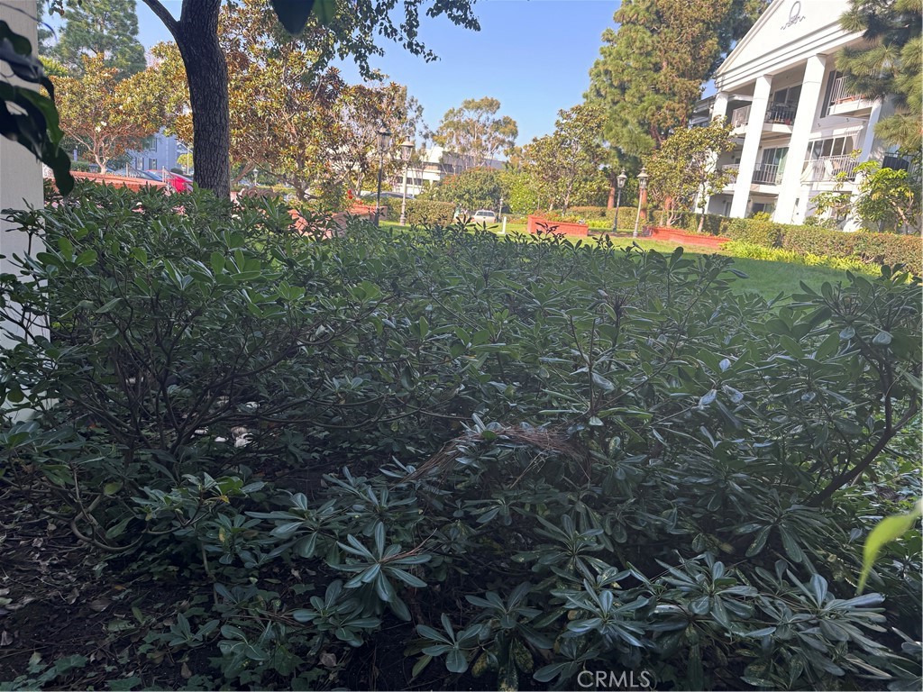 MLS #NP25248382 image #23