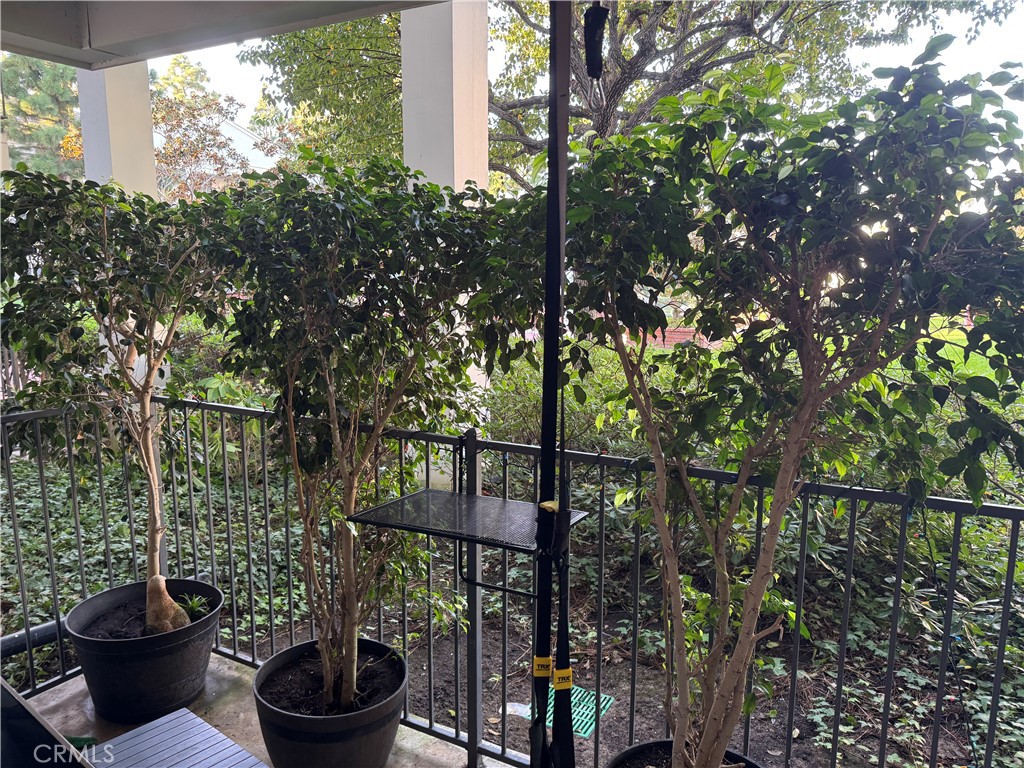 MLS #NP25248382 image #24