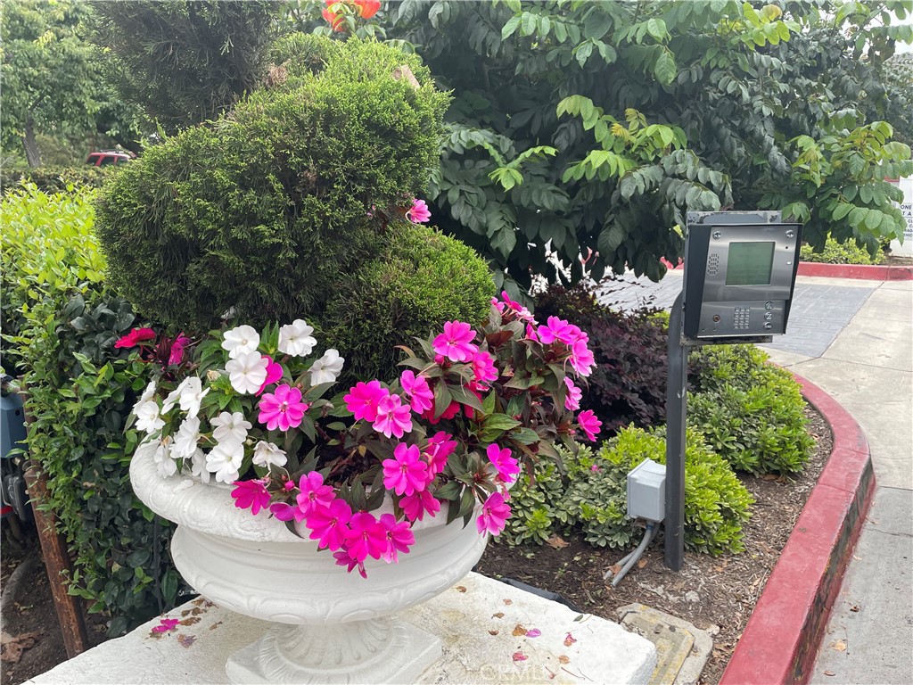 MLS #NP25248382 image #8