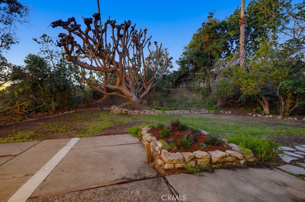 MLS #NP25248526 image #17