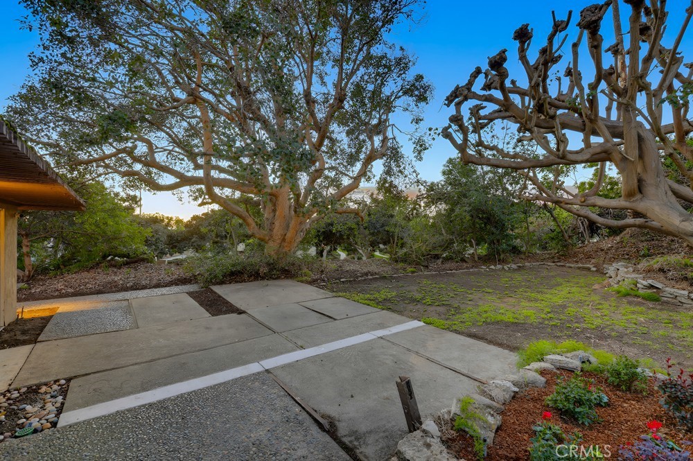 MLS #NP25248526 image #22