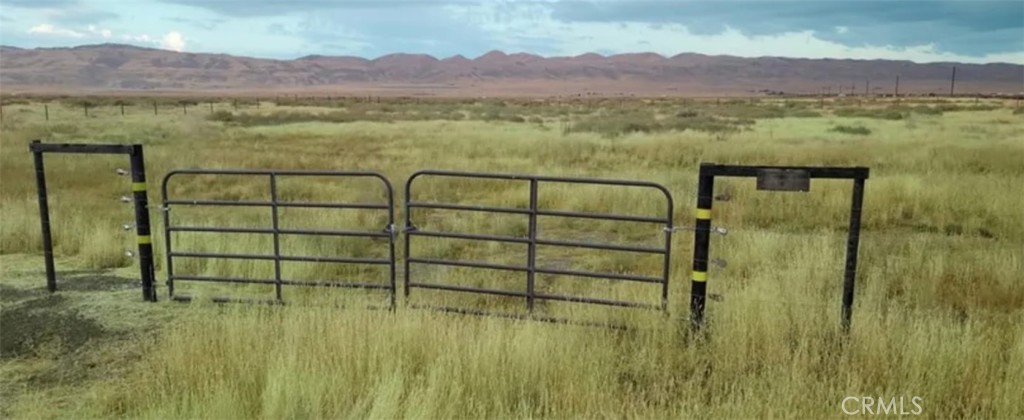 MLS #NP25250277 image #1