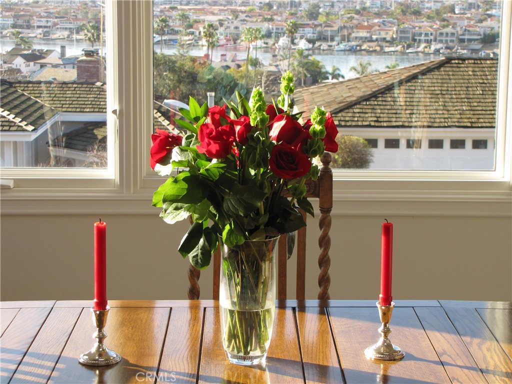 MLS #NP25251091 image #15