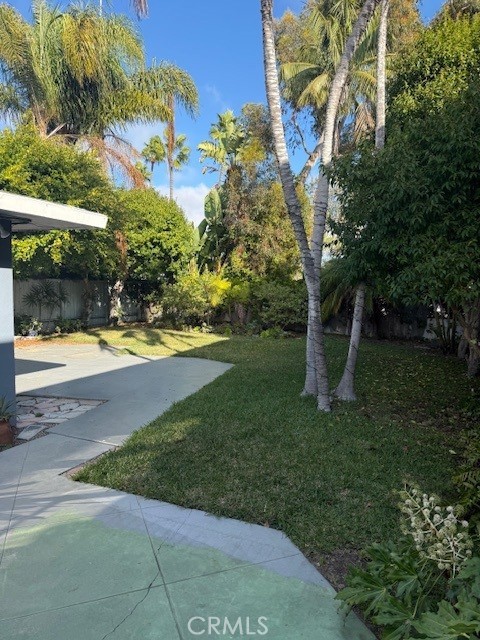 MLS #NP25255319 image #5