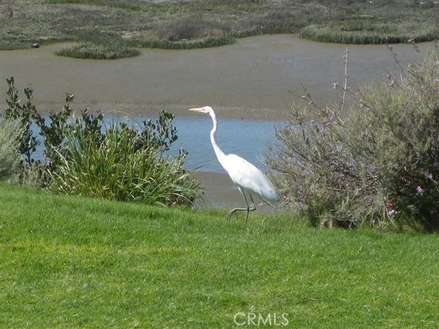 MLS #NP25255334 image #27