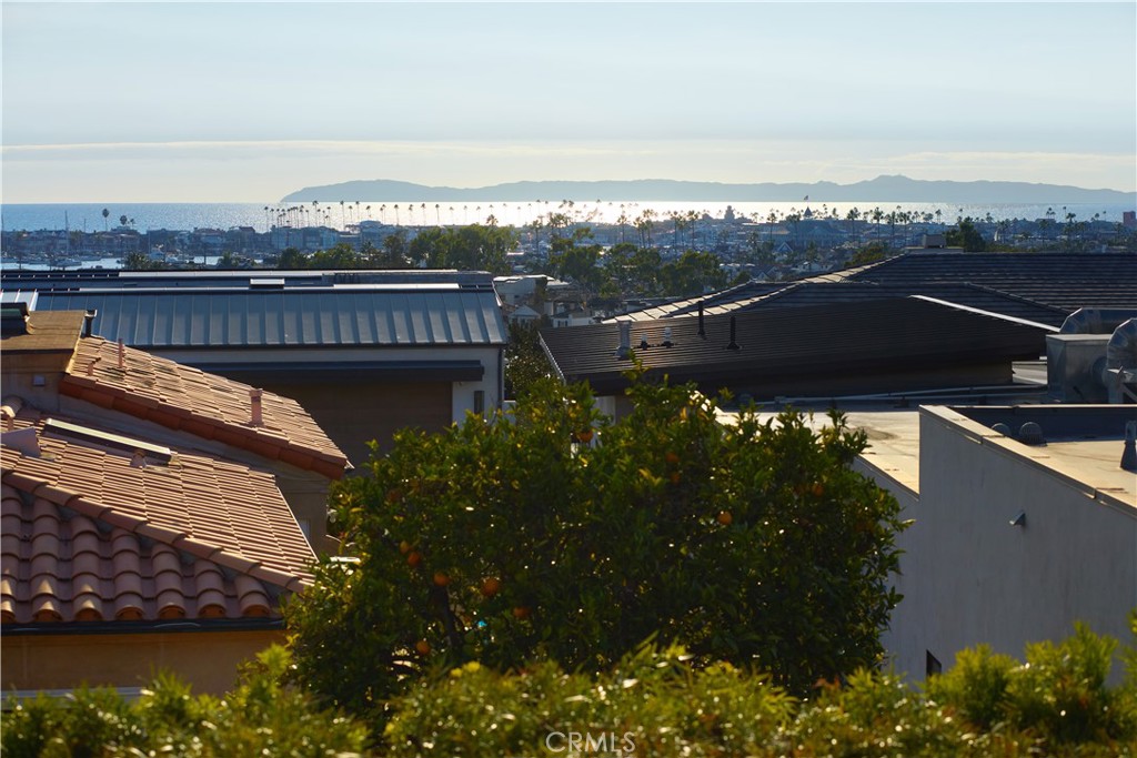 MLS #NP25257563 image #13