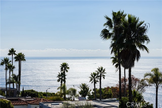 MLS #NP25257799 image #42