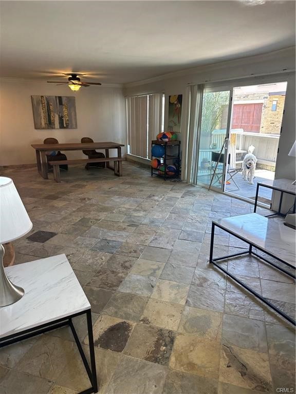 MLS #NP25258981 image #10