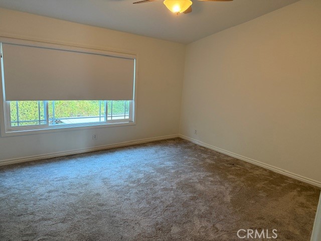 MLS #NP25259219 image #13