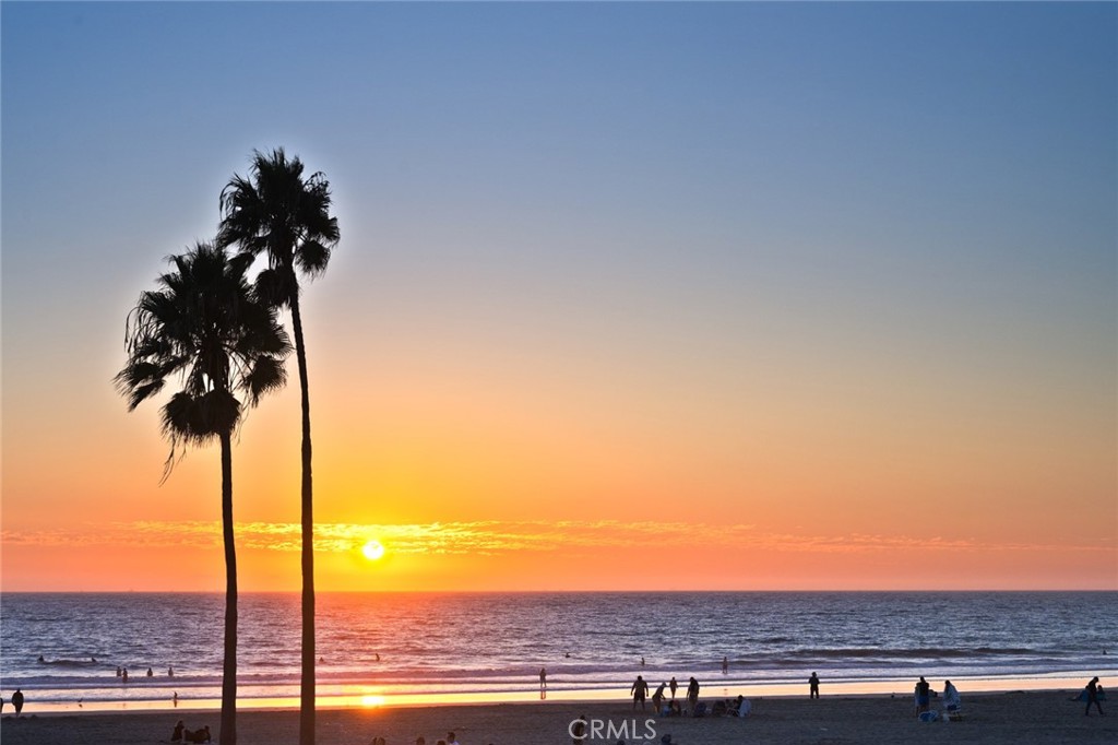 MLS #NP25259298 image #36