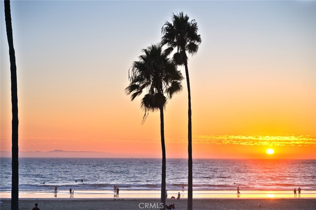 MLS #NP25259298 image #37