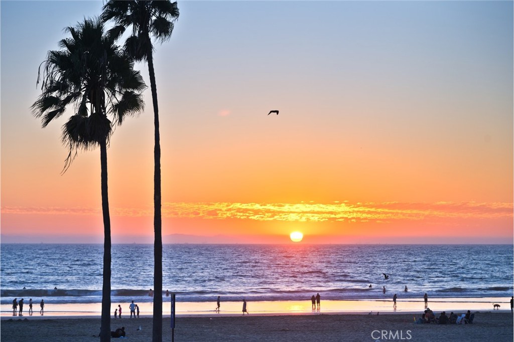 MLS #NP25259298 image #39