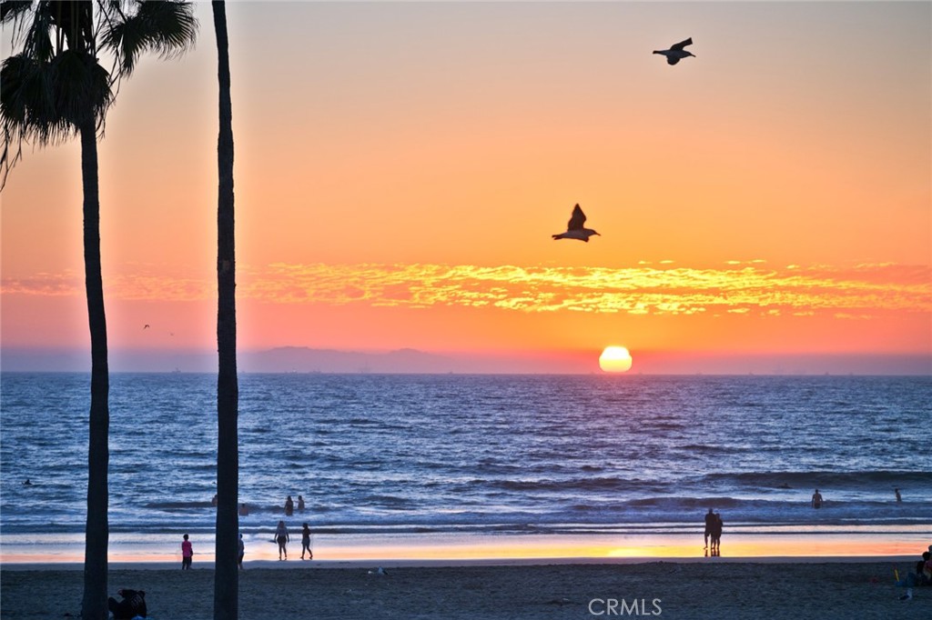 MLS #NP25259298 image #41