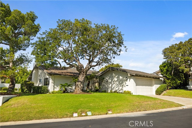 MLS #NP25262253 image #1