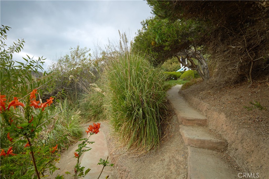 MLS #NP25262723 image #36