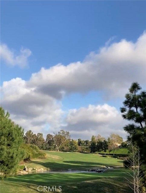 MLS #NP25262986 image #33