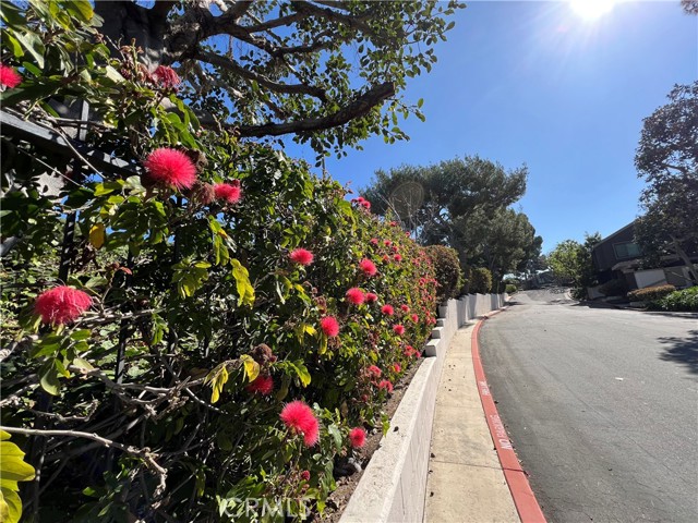 MLS #NP25262986 image #38