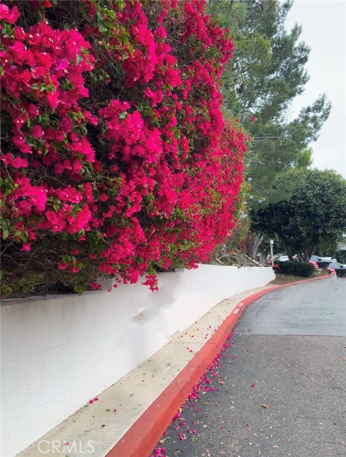 MLS #NP25262986 image #39