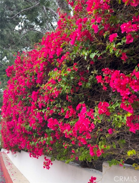 MLS #NP25262986 image #40