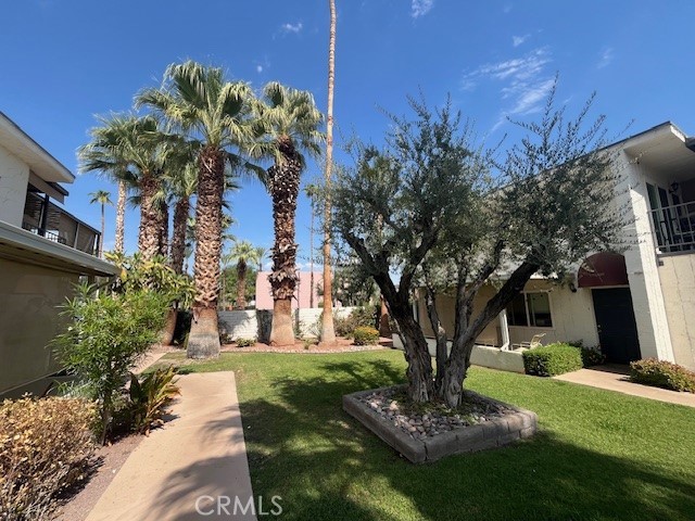 MLS #NP25263278 image #19