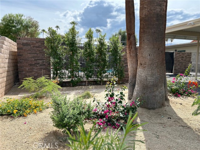 MLS #NP25263285 image #17