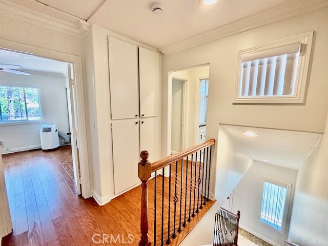 MLS #NP25263298 image #25